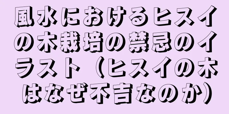 風水におけるヒスイの木栽培の禁忌のイラスト（ヒスイの木はなぜ不吉なのか）