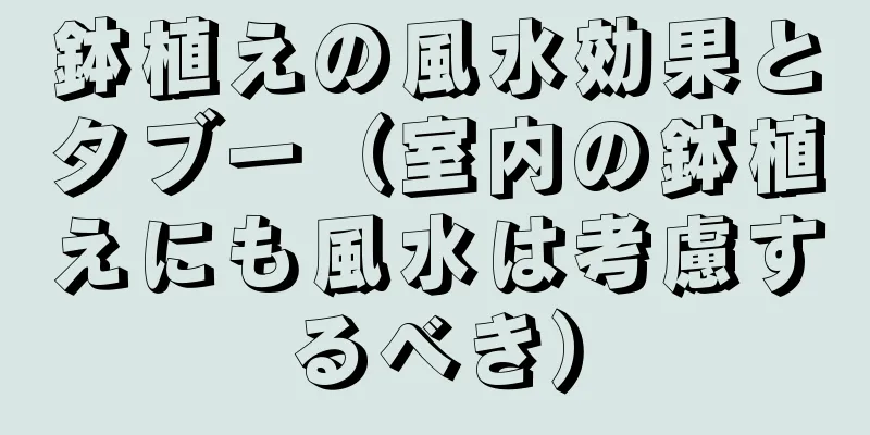 鉢植えの風水効果とタブー（室内の鉢植えにも風水は考慮するべき）