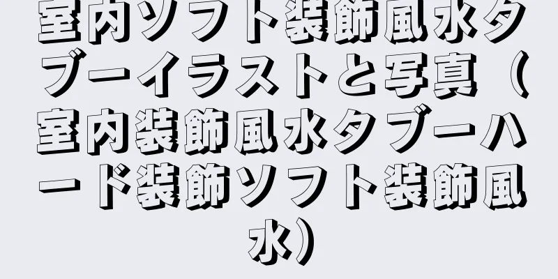 室内ソフト装飾風水タブーイラストと写真（室内装飾風水タブーハード装飾ソフト装飾風水）