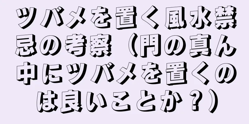 ツバメを置く風水禁忌の考察（門の真ん中にツバメを置くのは良いことか？）