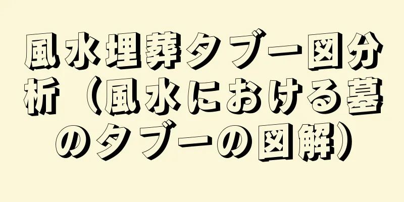 風水埋葬タブー図分析（風水における墓のタブーの図解）