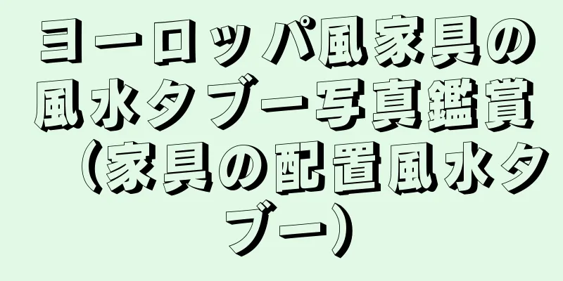 ヨーロッパ風家具の風水タブー写真鑑賞（家具の配置風水タブー）