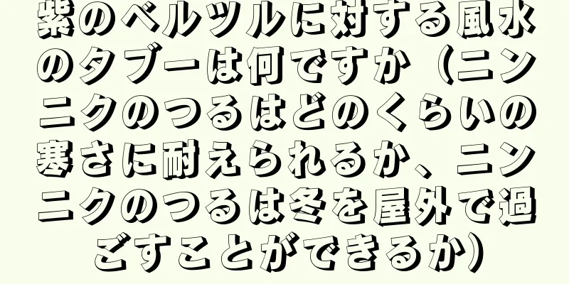 紫のベルツルに対する風水のタブーは何ですか（ニンニクのつるはどのくらいの寒さに耐えられるか、ニンニクのつるは冬を屋外で過ごすことができるか）