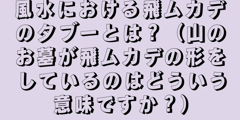 風水における飛ムカデのタブーとは？（山のお墓が飛ムカデの形をしているのはどういう意味ですか？）