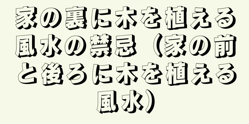 家の裏に木を植える風水の禁忌（家の前と後ろに木を植える風水）