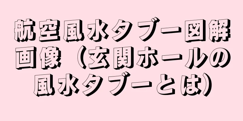 航空風水タブー図解画像（玄関ホールの風水タブーとは）