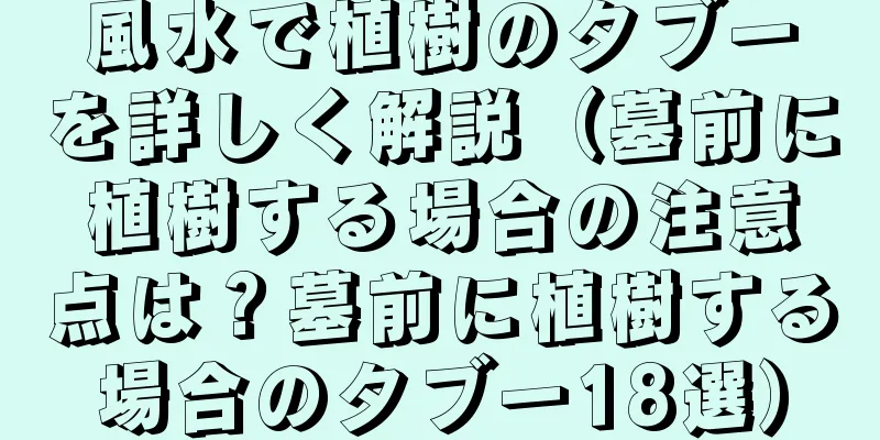 風水で植樹のタブーを詳しく解説（墓前に植樹する場合の注意点は？墓前に植樹する場合のタブー18選）
