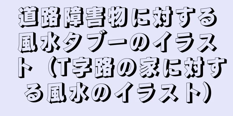 道路障害物に対する風水タブーのイラスト（T字路の家に対する風水のイラスト）