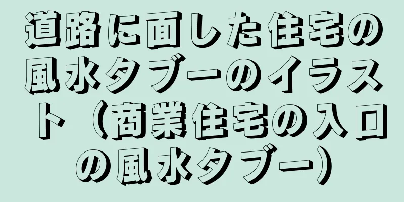 道路に面した住宅の風水タブーのイラスト（商業住宅の入口の風水タブー）