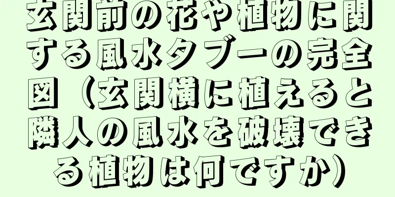 玄関前の花や植物に関する風水タブーの完全図（玄関横に植えると隣人の風水を破壊できる植物は何ですか）