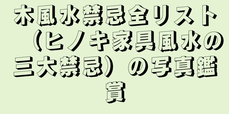 木風水禁忌全リスト（ヒノキ家具風水の三大禁忌）の写真鑑賞
