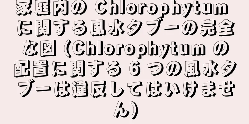 家庭内の Chlorophytum に関する風水タブーの完全な図 (Chlorophytum の配置に関する 6 つの風水タブーは違反してはいけません)