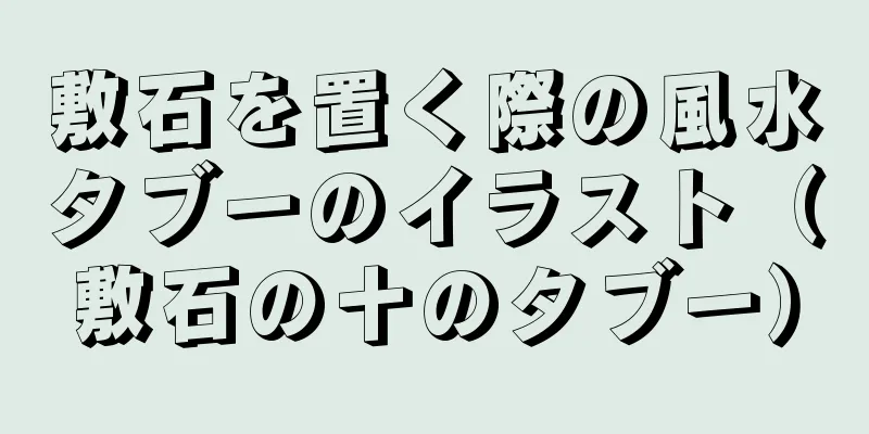 敷石を置く際の風水タブーのイラスト（敷石の十のタブー）