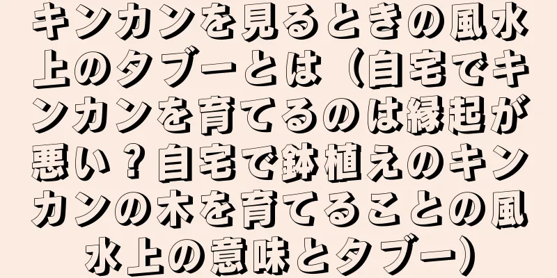 キンカンを見るときの風水上のタブーとは（自宅でキンカンを育てるのは縁起が悪い？自宅で鉢植えのキンカンの木を育てることの風水上の意味とタブー）