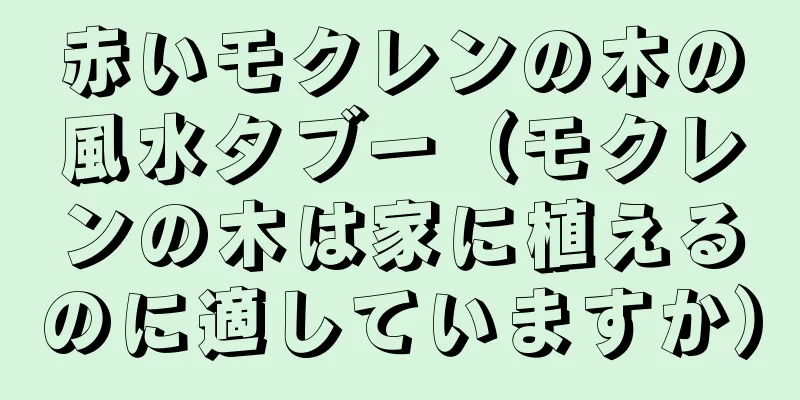 赤いモクレンの木の風水タブー（モクレンの木は家に植えるのに適していますか）