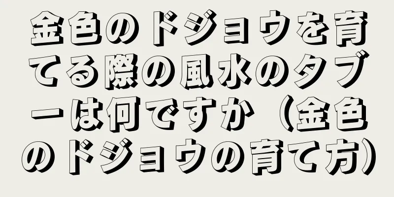 金色のドジョウを育てる際の風水のタブーは何ですか（金色のドジョウの育て方）