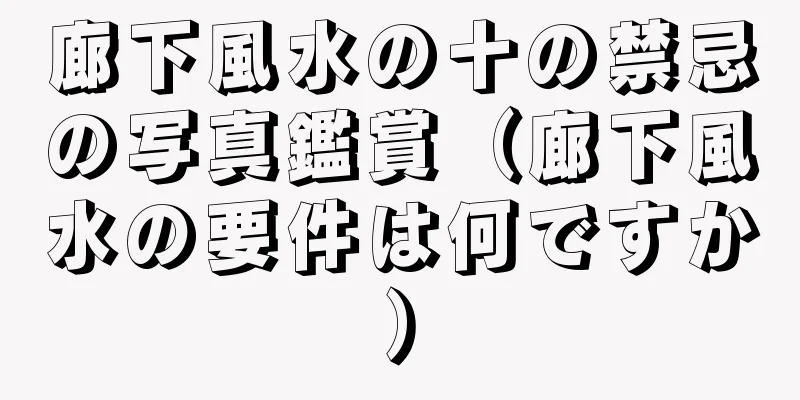 廊下風水の十の禁忌の写真鑑賞（廊下風水の要件は何ですか）