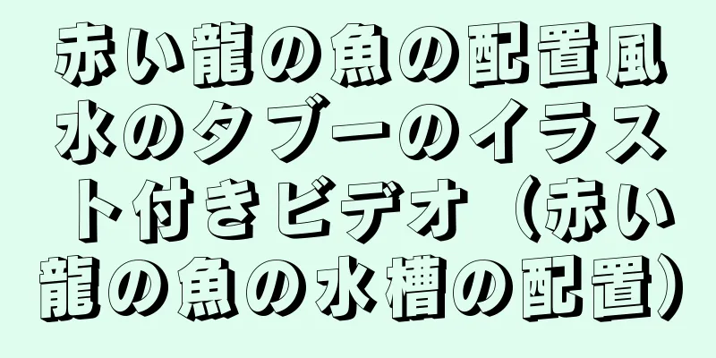 赤い龍の魚の配置風水のタブーのイラスト付きビデオ（赤い龍の魚の水槽の配置）