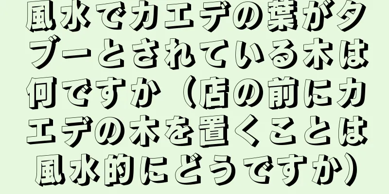風水でカエデの葉がタブーとされている木は何ですか（店の前にカエデの木を置くことは風水的にどうですか）