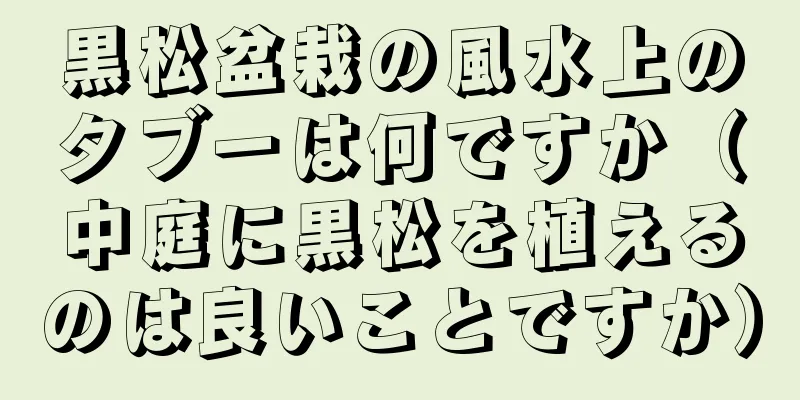 黒松盆栽の風水上のタブーは何ですか（中庭に黒松を植えるのは良いことですか）
