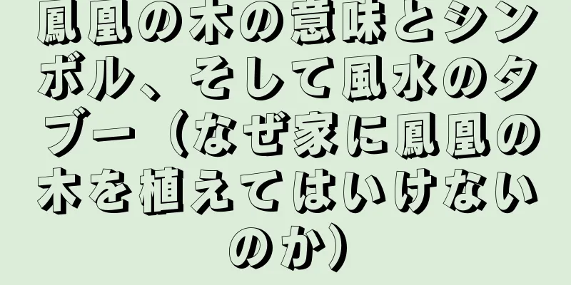 鳳凰の木の意味とシンボル、そして風水のタブー（なぜ家に鳳凰の木を植えてはいけないのか）