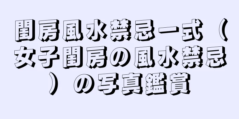 閨房風水禁忌一式（女子閨房の風水禁忌）の写真鑑賞