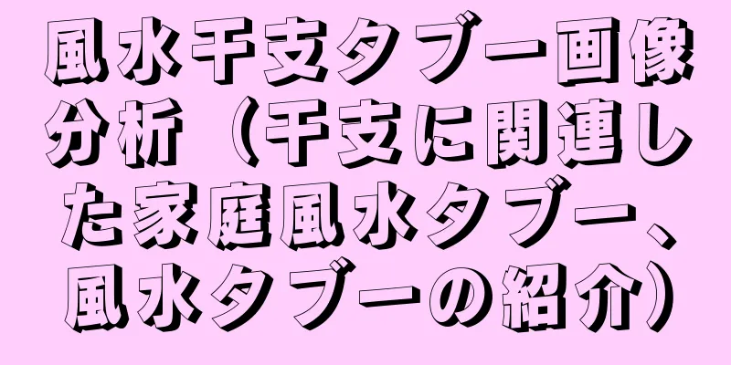 風水干支タブー画像分析（干支に関連した家庭風水タブー、風水タブーの紹介）