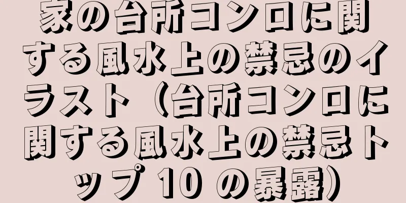 家の台所コンロに関する風水上の禁忌のイラスト（台所コンロに関する風水上の禁忌トップ 10 の暴露）