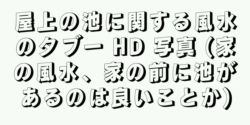 屋上の池に関する風水のタブー HD 写真 (家の風水、家の前に池があるのは良いことか)