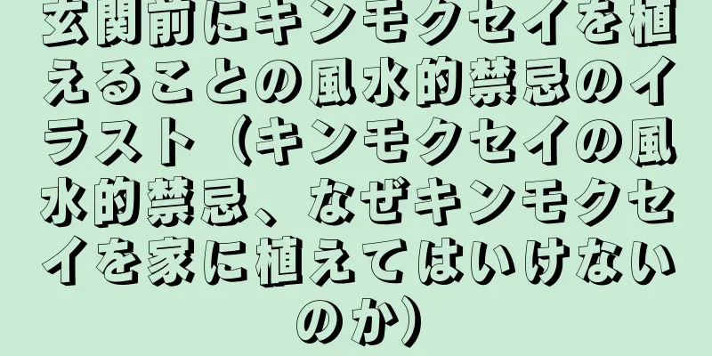 玄関前にキンモクセイを植えることの風水的禁忌のイラスト（キンモクセイの風水的禁忌、なぜキンモクセイを家に植えてはいけないのか）