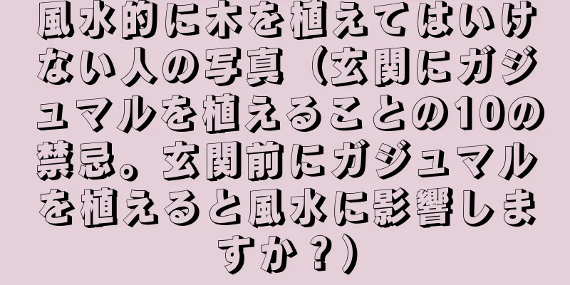 風水的に木を植えてはいけない人の写真（玄関にガジュマルを植えることの10の禁忌。玄関前にガジュマルを植えると風水に影響しますか？）