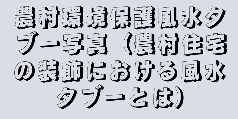 農村環境保護風水タブー写真（農村住宅の装飾における風水タブーとは）