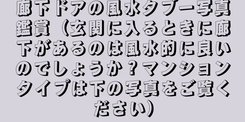 廊下ドアの風水タブー写真鑑賞（玄関に入るときに廊下があるのは風水的に良いのでしょうか？マンションタイプは下の写真をご覧ください）