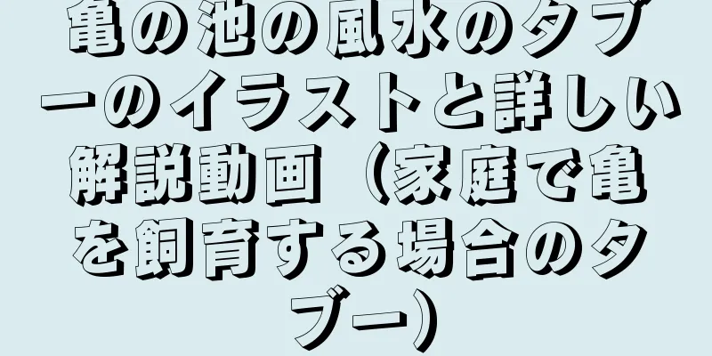 亀の池の風水のタブーのイラストと詳しい解説動画（家庭で亀を飼育する場合のタブー）