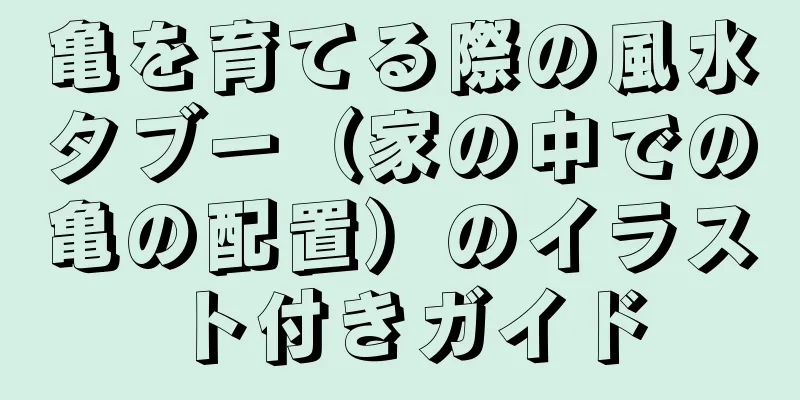 亀を育てる際の風水タブー（家の中での亀の配置）のイラスト付きガイド