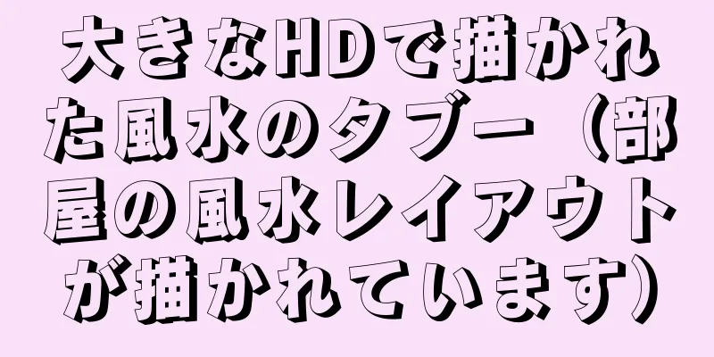 大きなHDで描かれた風水のタブー（部屋の風水レイアウトが描かれています）