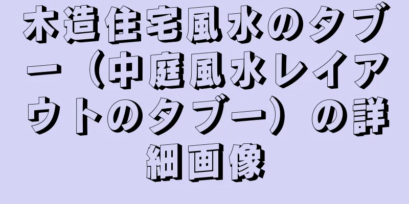 木造住宅風水のタブー（中庭風水レイアウトのタブー）の詳細画像