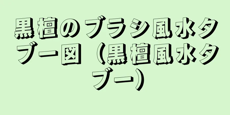 黒檀のブラシ風水タブー図（黒檀風水タブー）