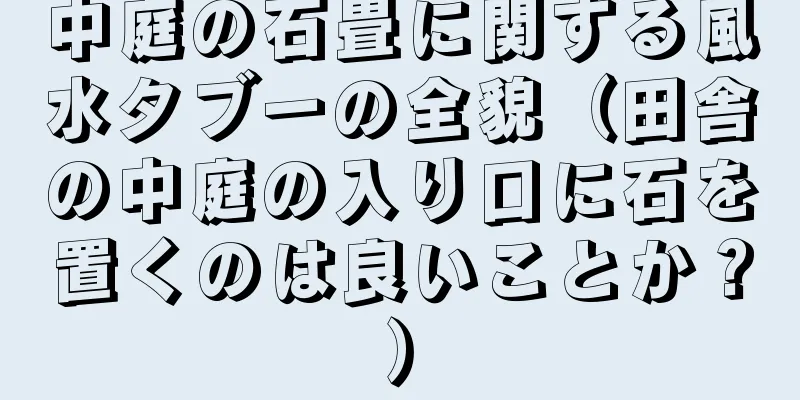中庭の石畳に関する風水タブーの全貌（田舎の中庭の入り口に石を置くのは良いことか？）