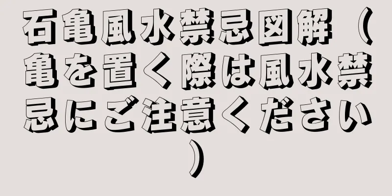 石亀風水禁忌図解（亀を置く際は風水禁忌にご注意ください）