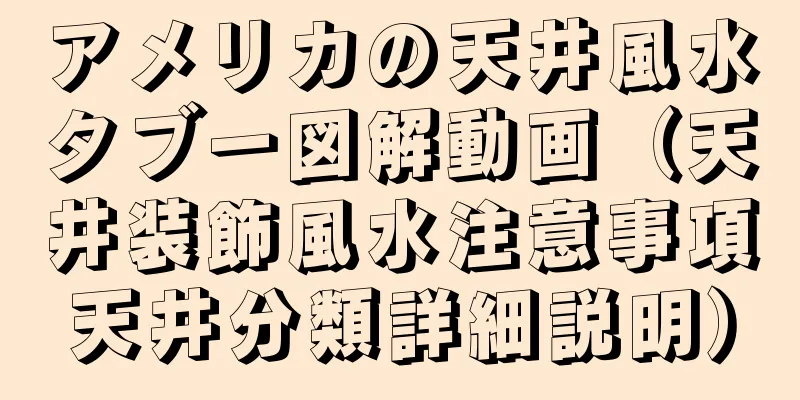 アメリカの天井風水タブー図解動画（天井装飾風水注意事項天井分類詳細説明）