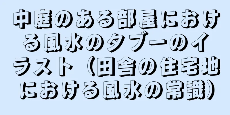 中庭のある部屋における風水のタブーのイラスト（田舎の住宅地における風水の常識）