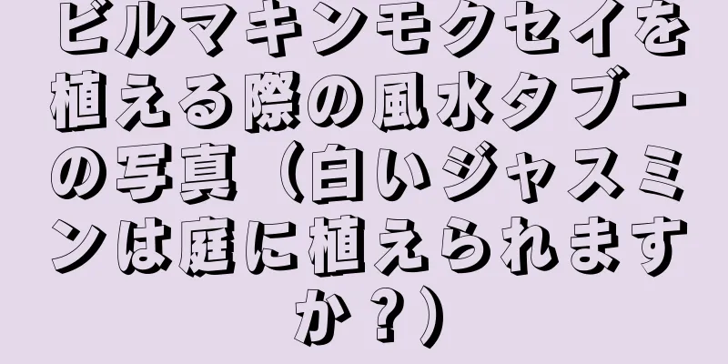 ビルマキンモクセイを植える際の風水タブーの写真（白いジャスミンは庭に植えられますか？）