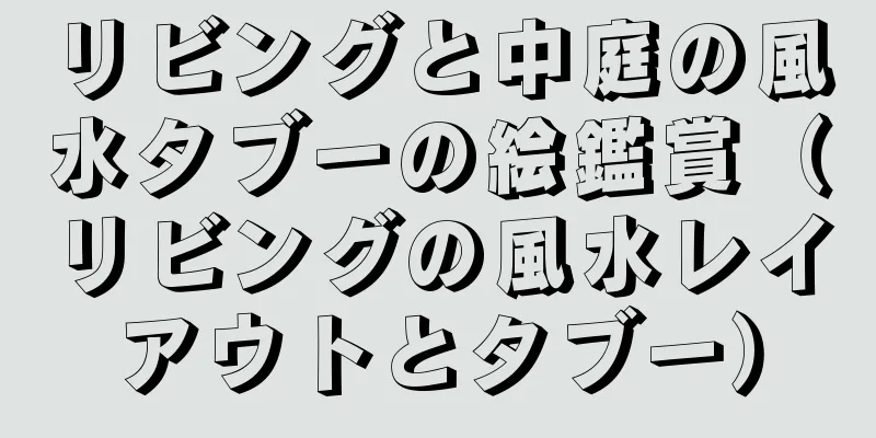 リビングと中庭の風水タブーの絵鑑賞（リビングの風水レイアウトとタブー）