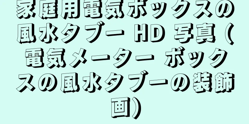 家庭用電気ボックスの風水タブー HD 写真 (電気メーター ボックスの風水タブーの装飾画)