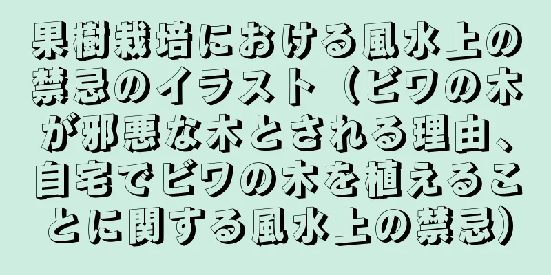 果樹栽培における風水上の禁忌のイラスト（ビワの木が邪悪な木とされる理由、自宅でビワの木を植えることに関する風水上の禁忌）