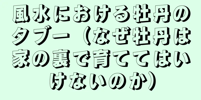 風水における牡丹のタブー（なぜ牡丹は家の裏で育ててはいけないのか）