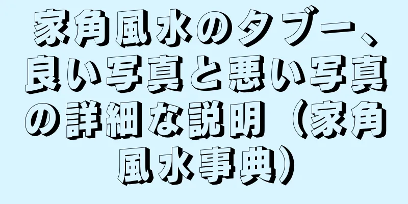 家角風水のタブー、良い写真と悪い写真の詳細な説明（家角風水事典）