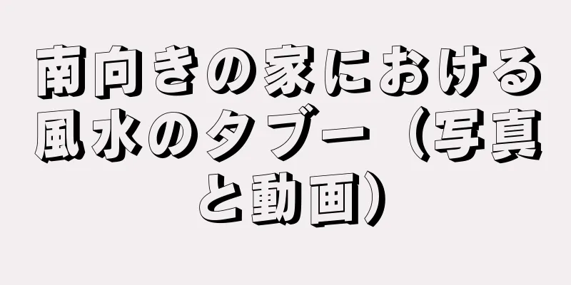 南向きの家における風水のタブー（写真と動画）