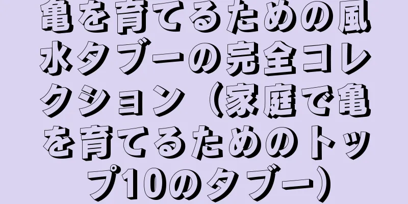 亀を育てるための風水タブーの完全コレクション（家庭で亀を育てるためのトップ10のタブー）